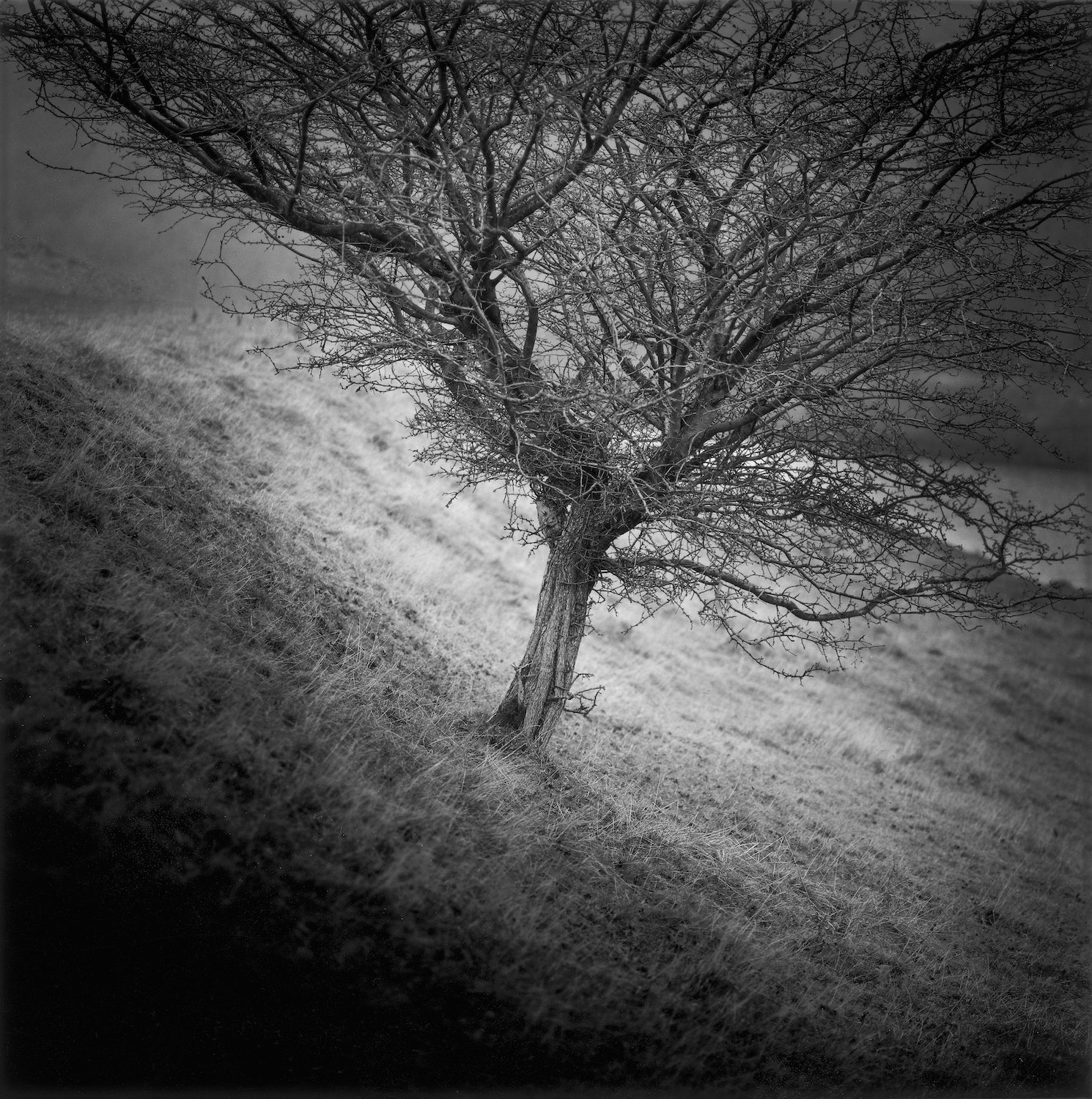 Truncated photobook by Paul Hart — PAUL HART